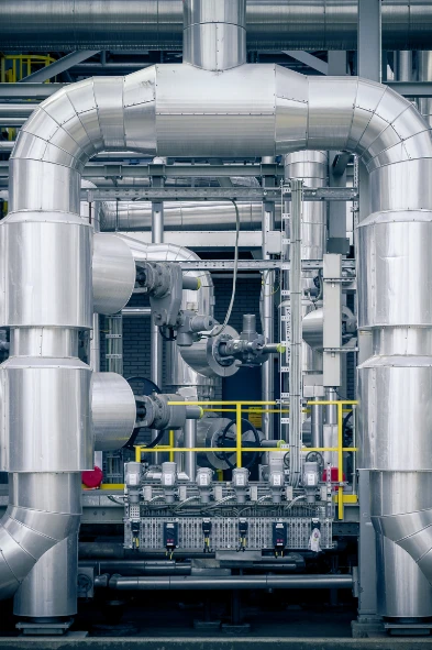 公共优势与支持